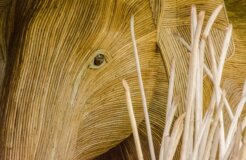 DSC_4738 Medium DSC_4738 Medium