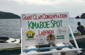 Giant Clam Conservation Giant Clam Conservation