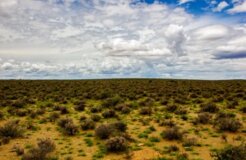 juanita-swart-wK9ciaCnaOk-unsplash Small