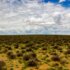 juanita-swart-wK9ciaCnaOk-unsplash Small