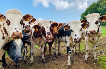 lomig-HHpRh6rNQMo-unsplash Medium lomig-HHpRh6rNQMo-unsplash Medium