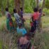 Members-of-Tikondane-Honey-club-hanging-their-beehive-PIC-Mathews-Dunga