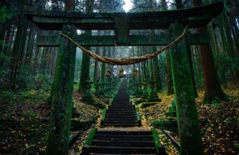 samuel-berner-SFC28TSqPsw-unsplash Medium