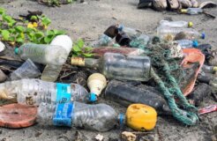 john-cameron-FMrZLPdDyx4-unsplash Medium john-cameron-FMrZLPdDyx4-unsplash Medium