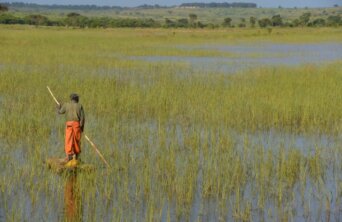 yolande-conradie-TKsDclZ3i4o-unsplash Medium yolande-conradie-TKsDclZ3i4o-unsplash Medium