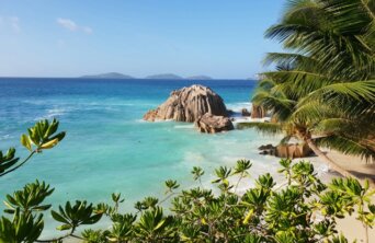 christian-cacciamani-jPmurJKSL_0-unsplash Medium christian-cacciamani-jPmurJKSL_0-unsplash Medium