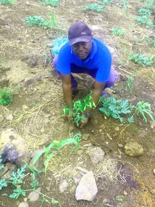 Enow Richard planting a tree in Oku, picture credit, Enow Richard