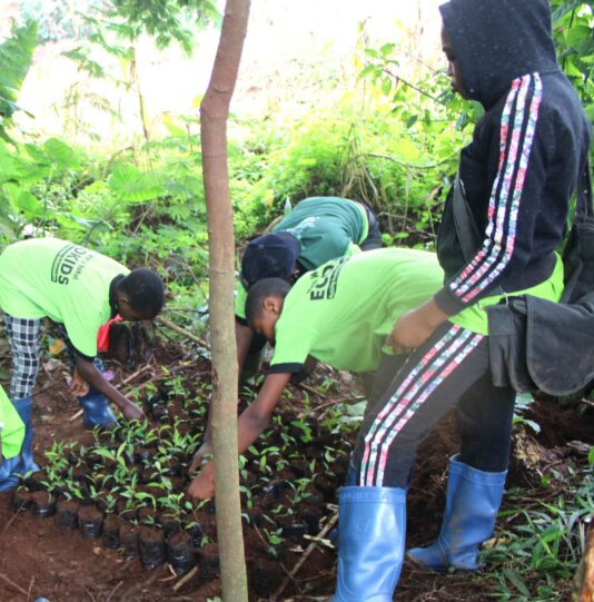 Kids-preparing-trees-at-the-nursery-ahead-of-planting-excersie-in-Bamenda.-Picture-credit,-VoNat
