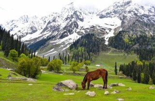 praneet-kumar-H8dcf-v98mA-unsplash Small