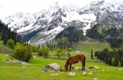 praneet-kumar-H8dcf-v98mA-unsplash Small praneet-kumar-H8dcf-v98mA-unsplash Small