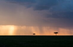 javi-lorbada-j8PfDO_mT3c-unsplash Medium javi-lorbada-j8PfDO_mT3c-unsplash Medium