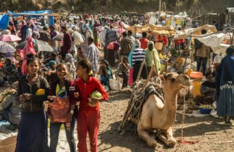 lesly-derksen-moxAIMizMCs-unsplash lesly-derksen-moxAIMizMCs-unsplash