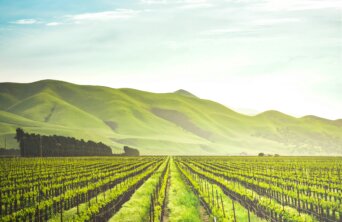 adele-payman-2oYMwuFgnTg-unsplash adele-payman-2oYMwuFgnTg-unsplash