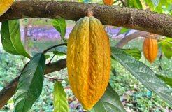 elle-inlom-VcUH1qneMeg-unsplash