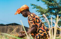 eyelit-studio-n7EHRb4F_ZM-unsplash