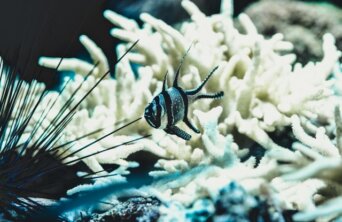 milan-degraeve-BgZxF71_t64-unsplash Medium