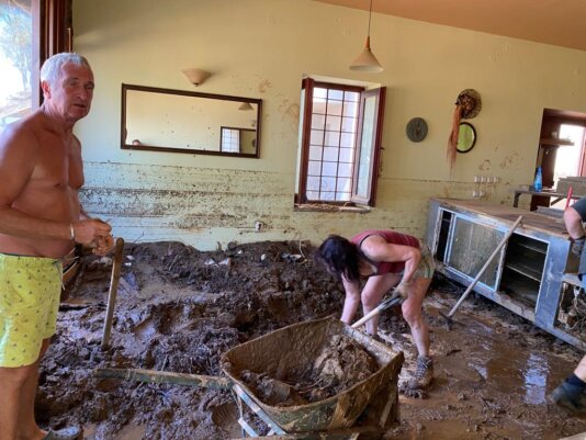 31afe1a6-39f4-4879-8ee4-6537bbb7762c