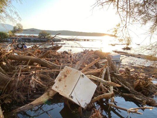 d735e8c3-c593-4322-86a8-139f0bd0f44d