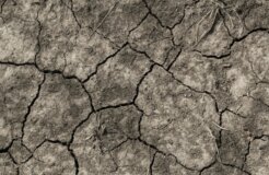 maud-correa-louS5ssEPjM-unsplash Medium