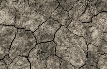 maud-correa-louS5ssEPjM-unsplash Medium