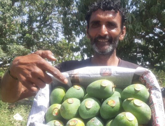 Talpur genome garden-02