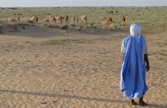 desert-733728_1280 desert-733728_1280