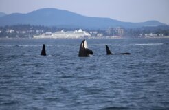 dick-martin-jeX1mVsO-Ko-unsplash dick-martin-jeX1mVsO-Ko-unsplash