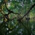 timothy-k-1CiE1x4dHIY-unsplash