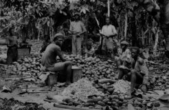 social-history-archive-h5lhSu5CfVI-unsplash social-history-archive-h5lhSu5CfVI-unsplash