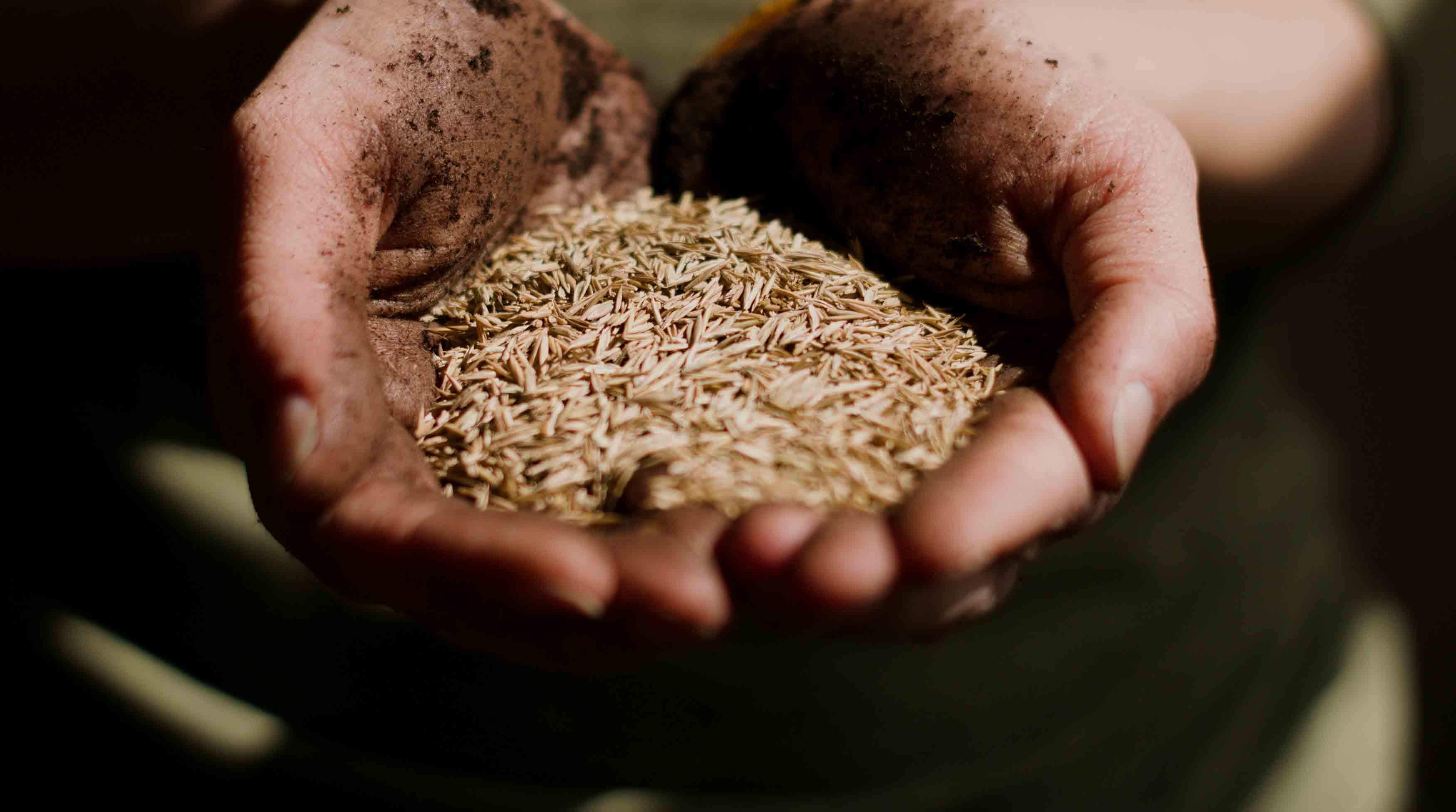 vince-veras-sYaK3SlGwEw-unsplash