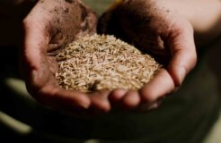 vince-veras-sYaK3SlGwEw-unsplash vince-veras-sYaK3SlGwEw-unsplash