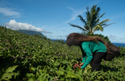 GeelaGarcia-005 GeelaGarcia-005