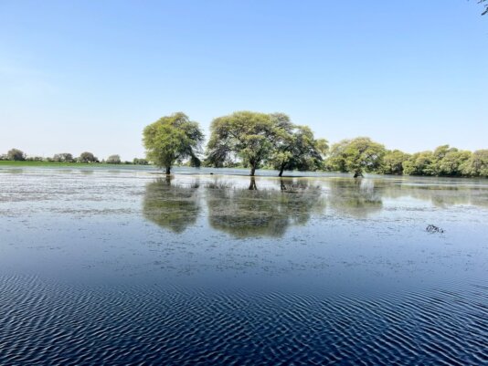 A khadeen in monsoon in 2023