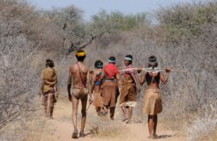 botswana-2219383_1280