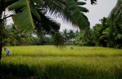 martin-bendico-GVIuCOCjItU-unsplash