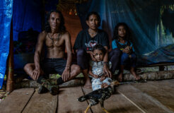 The Impact of the Nickel Industry in Halmahera, North Maluku, In