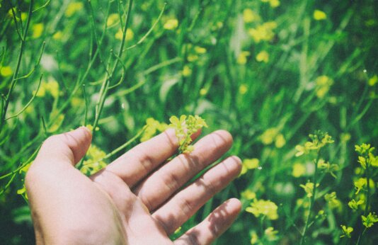 larm-rmah-r15ypiGxn6c-unsplash