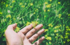 larm-rmah-r15ypiGxn6c-unsplash larm-rmah-r15ypiGxn6c-unsplash