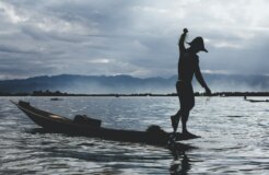 michael-pfister-mT-jLPGEr2o-unsplash