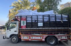 Distribution to the displaced people in South of Lebanon - Bassima Ramadan (20)
