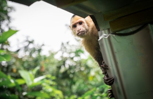 felix-hanspach-YmFtMvDbS7A-unsplash