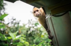 felix-hanspach-YmFtMvDbS7A-unsplash felix-hanspach-YmFtMvDbS7A-unsplash