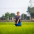 farmer-seed-food