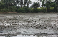 53004857577_9d33cdc8c4_k 53004857577_9d33cdc8c4_k