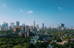 hardik-joshi-niUei6OnuiA-unsplash