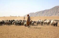 mustafa-EqXW8kSES08-unsplash mustafa-EqXW8kSES08-unsplash