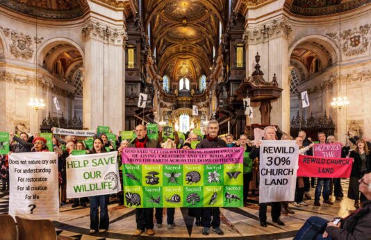 Church of England - land reform protest St Pauls_ClimateChoirs_CH_1-3-25--0723 (1)
