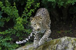 21619258_26f4f3c319_o