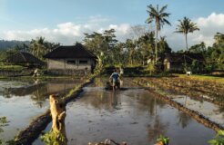 levi-morsy-AnsuqgHMVv8-unsplash levi-morsy-AnsuqgHMVv8-unsplash