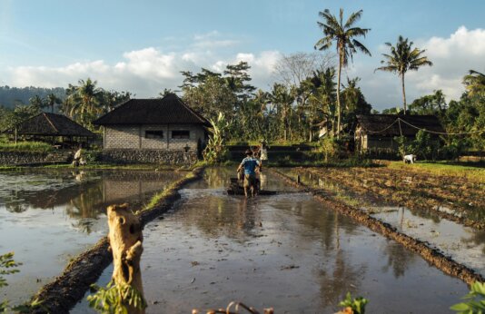 levi-morsy-AnsuqgHMVv8-unsplash levi-morsy-AnsuqgHMVv8-unsplash